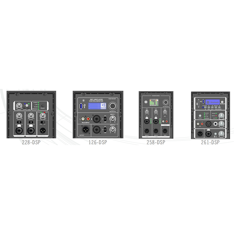 Professional Audio Speaker System with Subwoofer