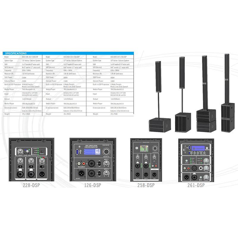 Professional Audio Speaker System with Subwoofer