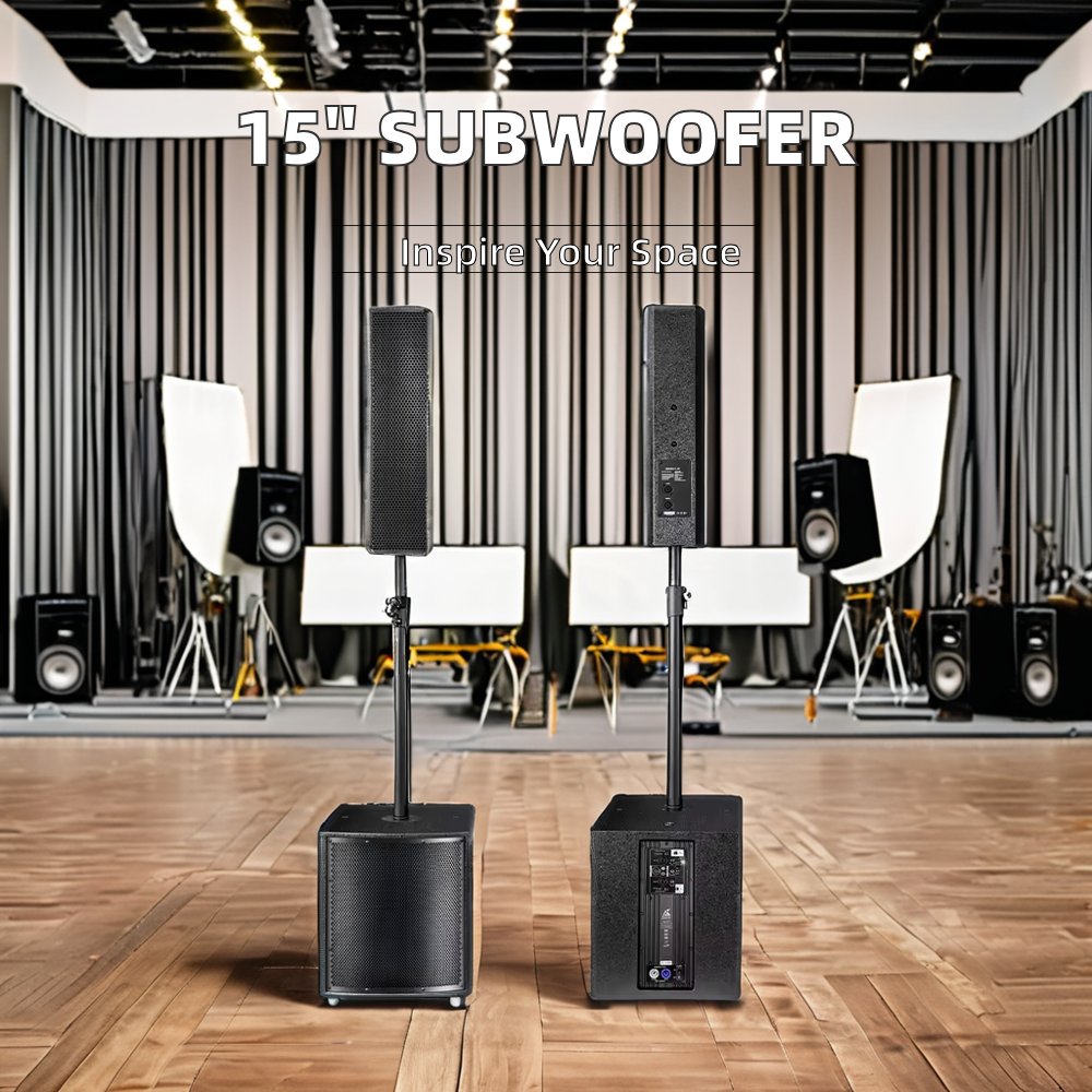 Professional Audio Speaker System with Subwoofer