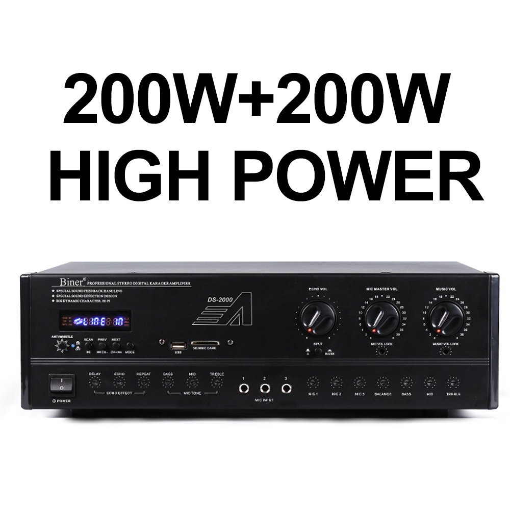 Depusheng D100 10 Inch Speaker Wireless mic Digital Audio Processor Sound Equipment/Amplifiers/Speakers With For Stage