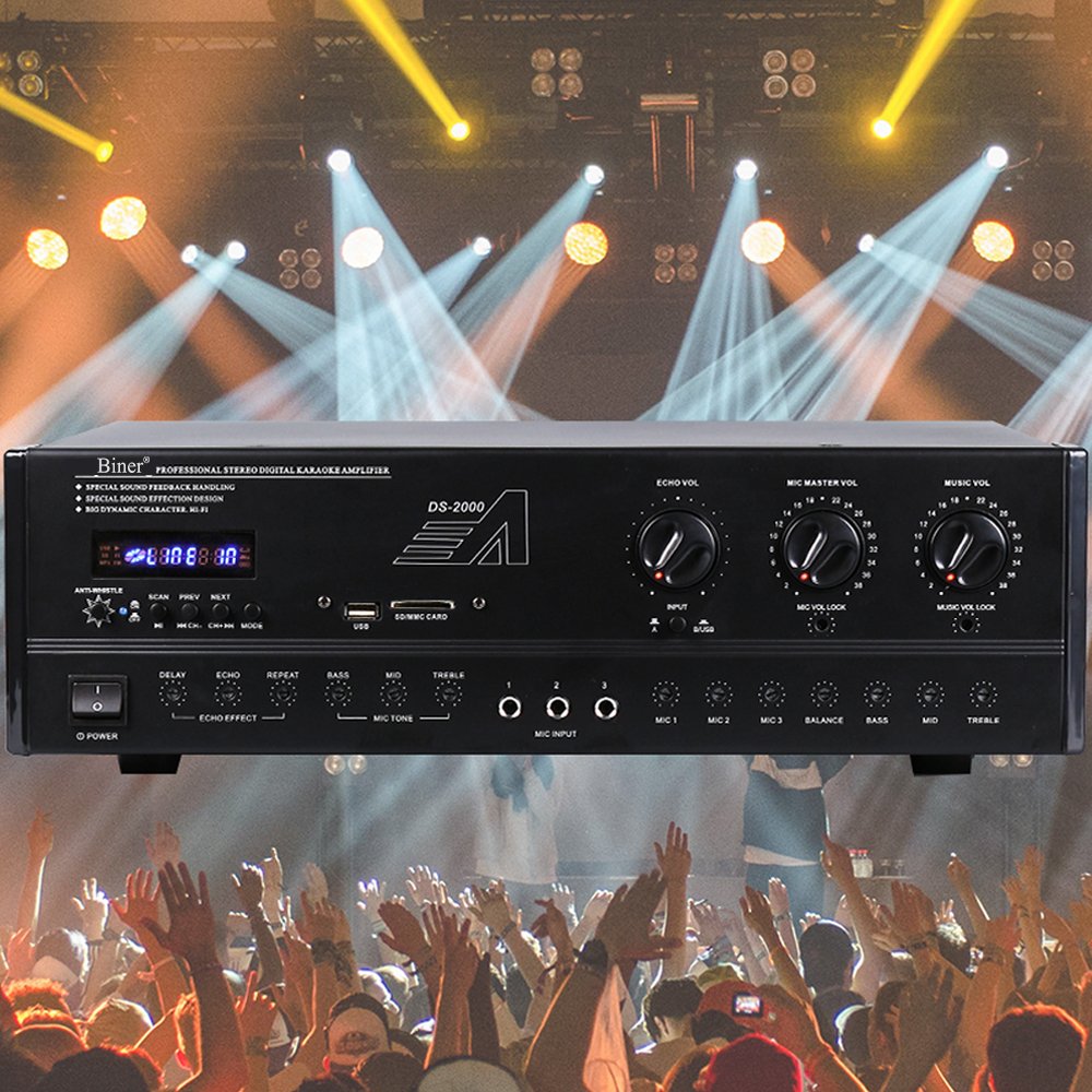Depusheng D100 10 Inch Speaker Wireless mic Digital Audio Processor Sound Equipment/Amplifiers/Speakers With For Stage