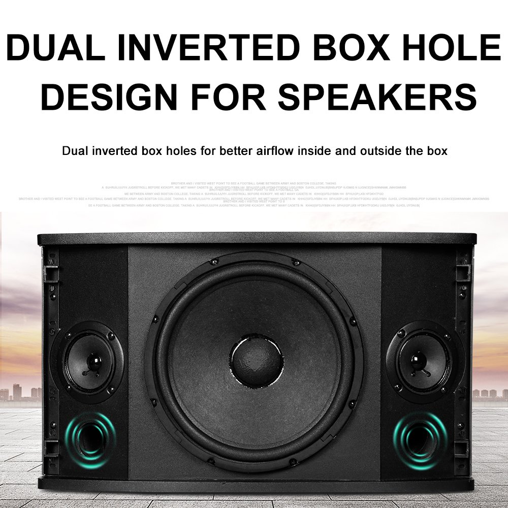 Depusheng D100 10 Inch Speaker Wireless mic Digital Audio Processor Sound Equipment/Amplifiers/Speakers With For Stage