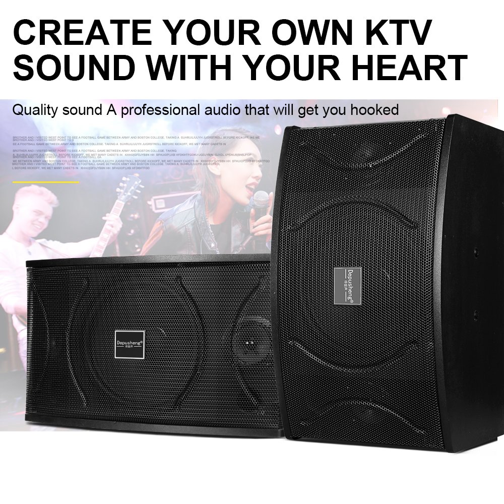 Depusheng D100 10 Inch Speaker Wireless mic Digital Audio Processor Sound Equipment/Amplifiers/Speakers With For Stage