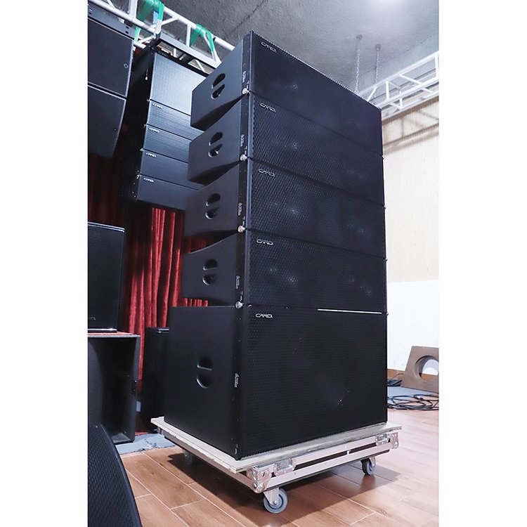 Factory Customization Dual 10 inch professional line array speaker DJ sound system active line array