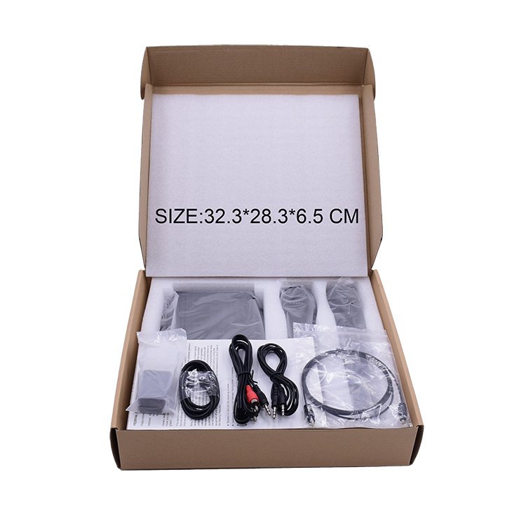 Portable Mics UHF Cordless Wireless Microphone System Audio Video Equipments And Receiver For Speech, Conference, Party, KTV