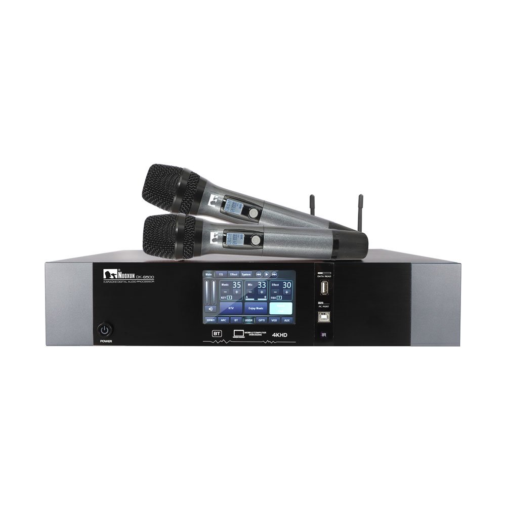 Multi function sound equipments built in Echo feedback suppressor audio sound effect karaoke power amplifier