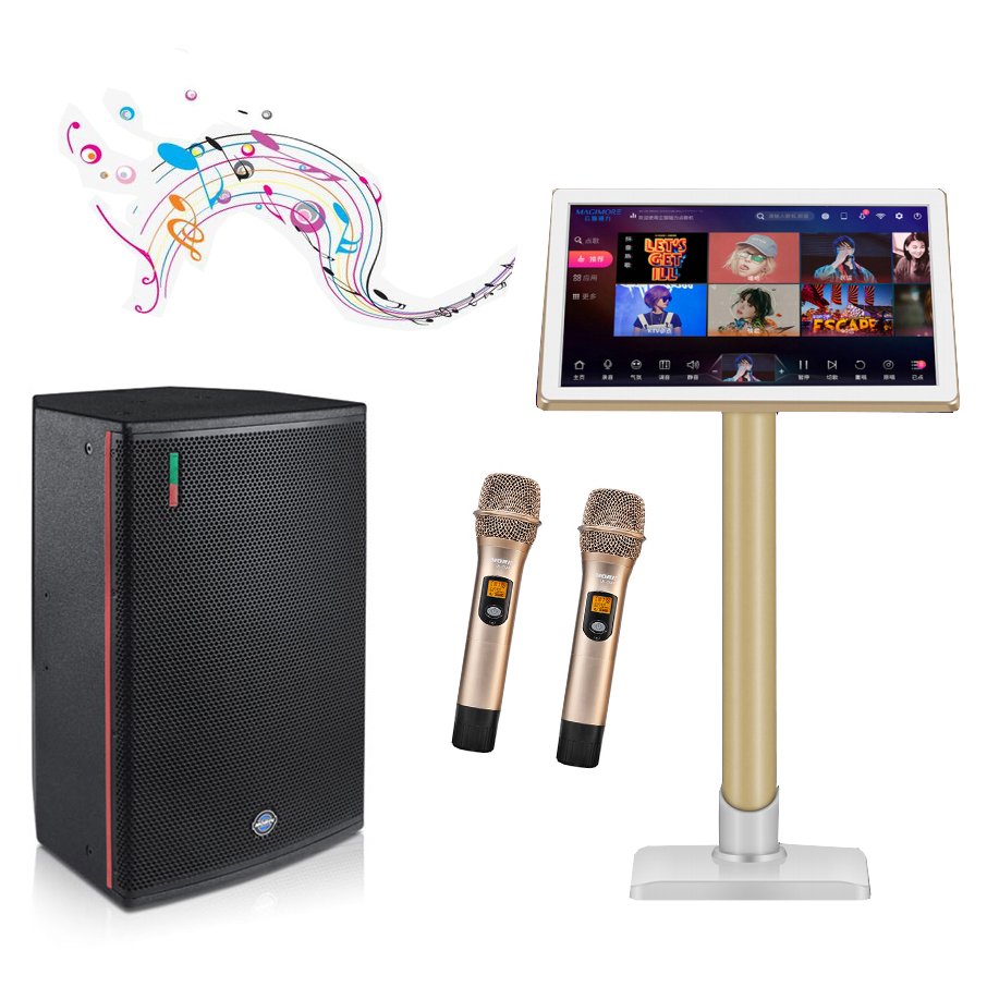 Hot sell Home theatre karaoke 12 inch speaker CQ-12