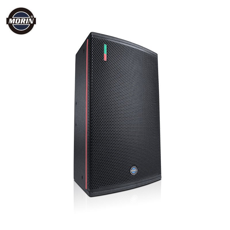 Hot sell Home theatre karaoke 12 inch speaker CQ-12