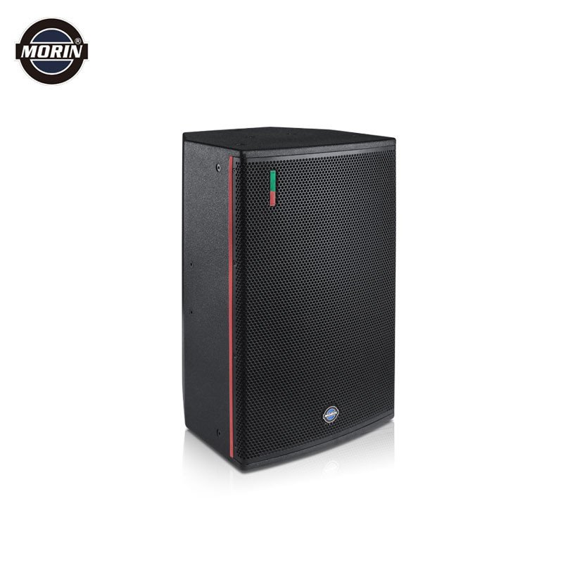Hot sell Home theatre karaoke 12 inch speaker CQ-12