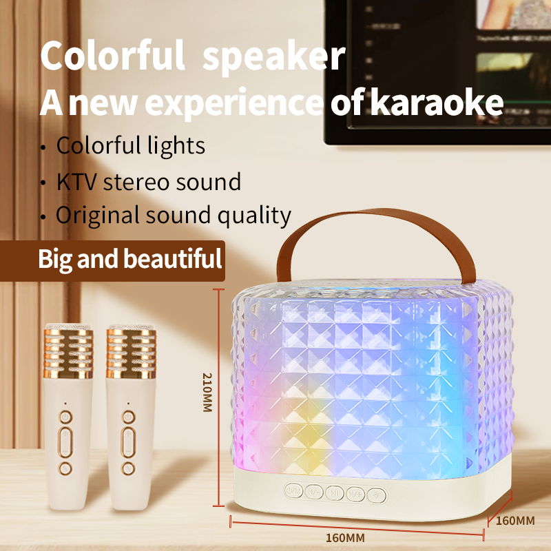 Hot sale Portable with microphone sound equipment studio home party KTV wireless with mic and bluetooth karaoke speakers