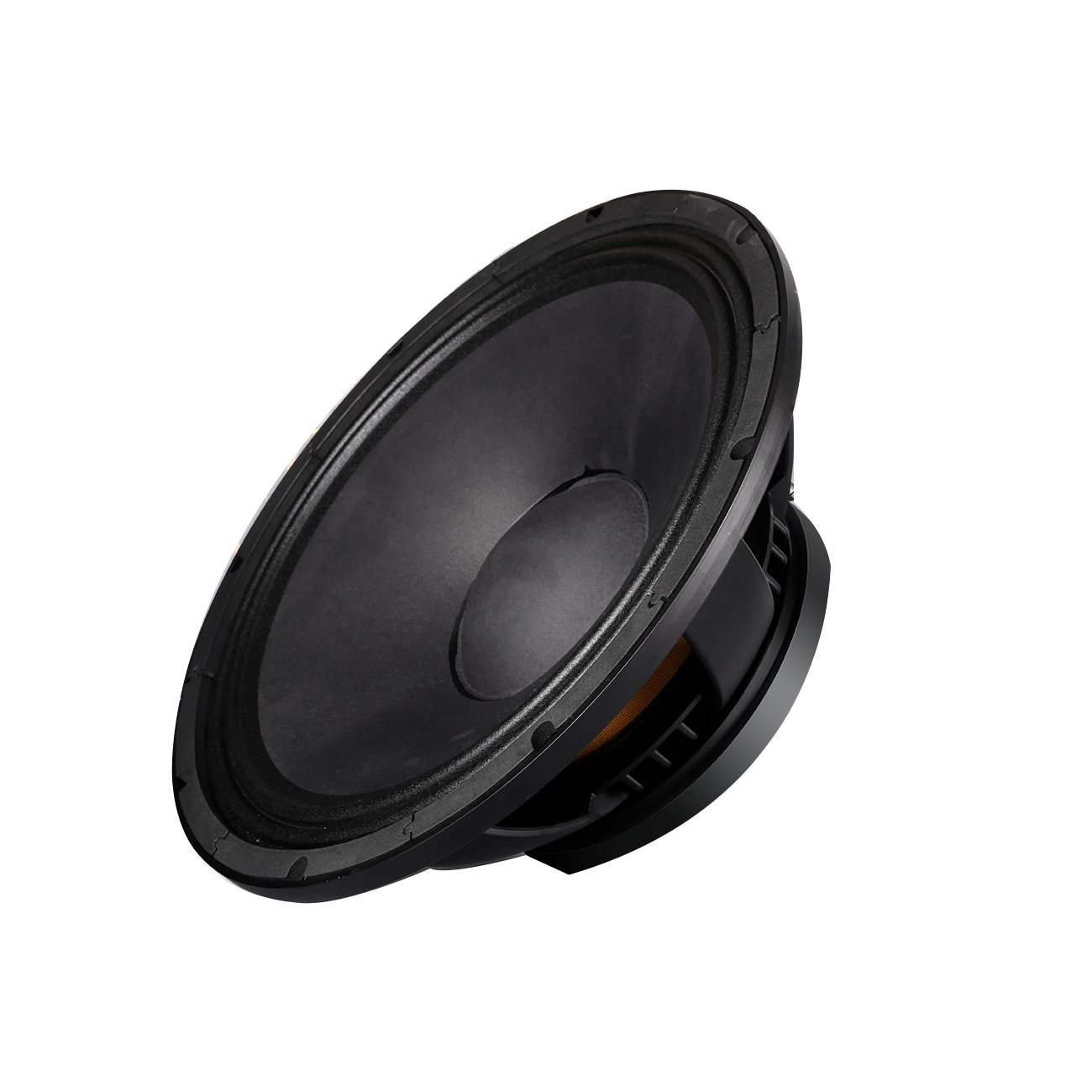 Biner D825 Professional Outdoor Active Way Full Rang Professional Audio Speaker Sound System