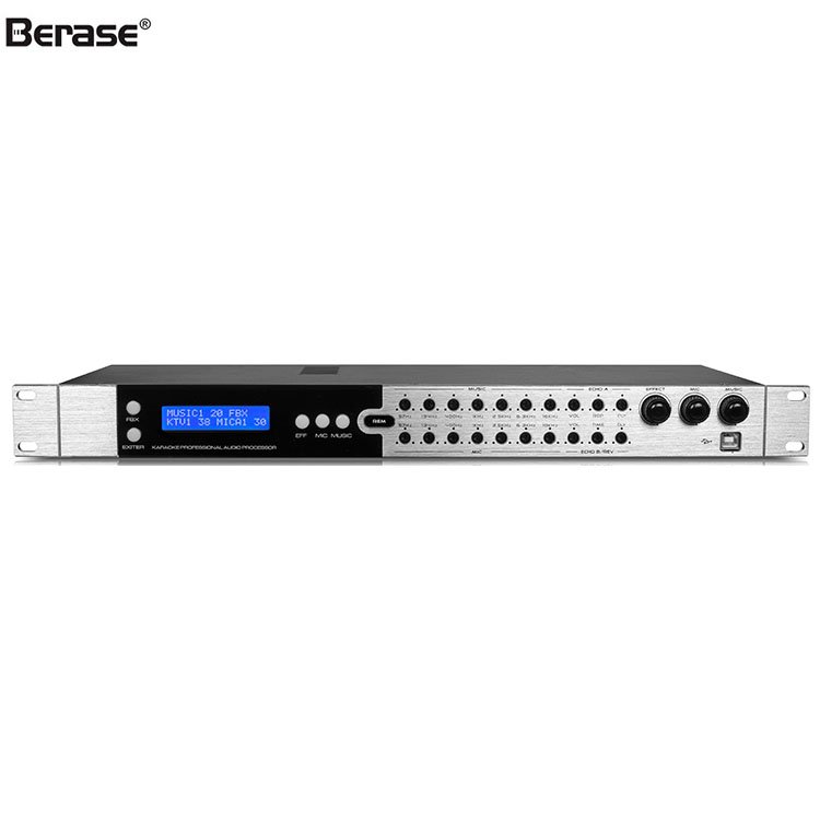 Berase DSP-280 professional karaoke Digital audio sound equipment Audio DSP Processor For Amplifiers