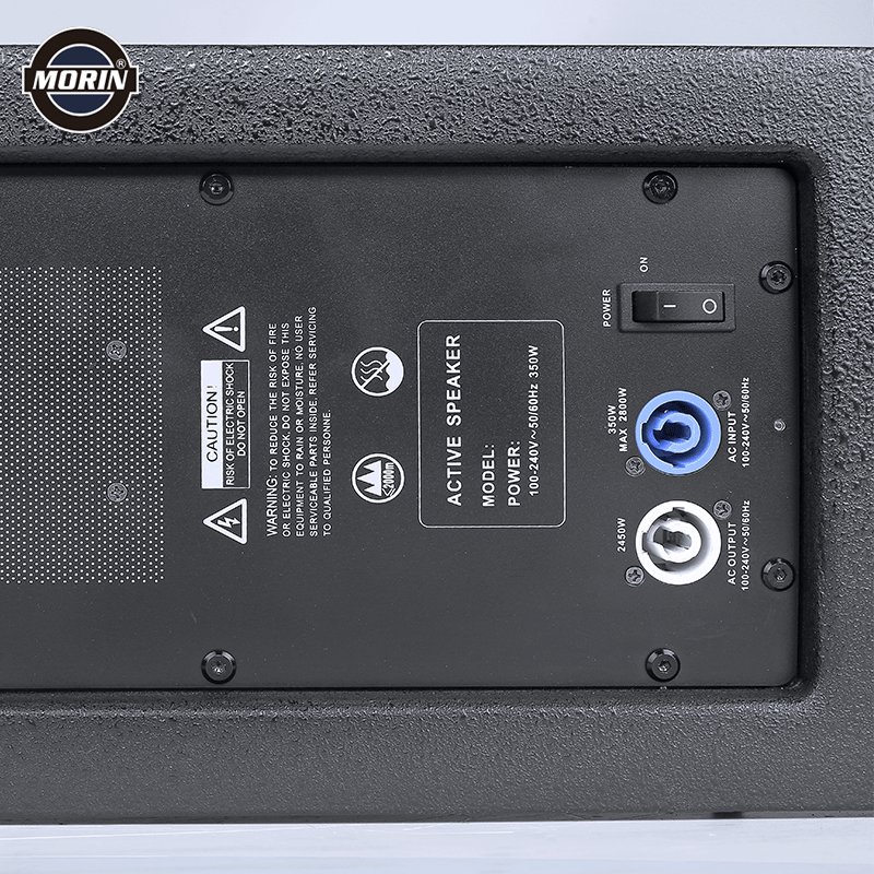 Professional Audio 10 Inch Active Line Array Speaker With Build In Class D Amplifier Module