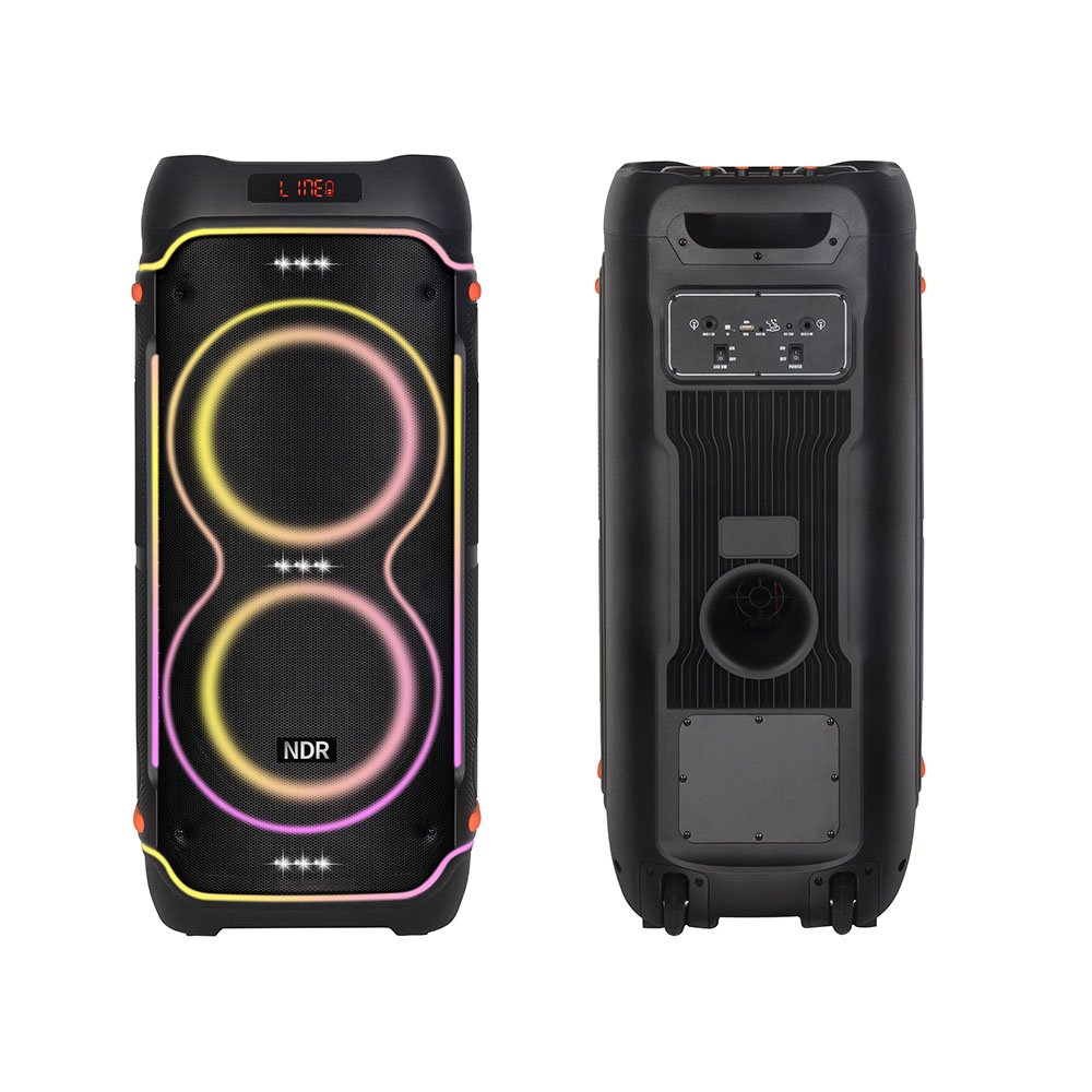 NDR-1808 Daul 8 inch Outdoor homeParty DJ supper bass 100W Karaoke Speaker with wireless Mic RGB Light subWoofer Trolley speaker
