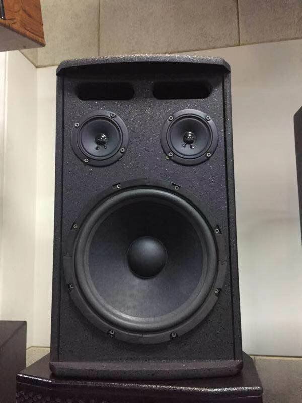 10 inch professional meeting or conference room speaker and for karaoke Morin CON-10