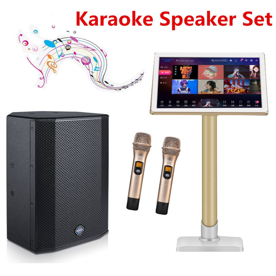 10 inch professional meeting or conference room speaker and for karaoke Morin CON-10