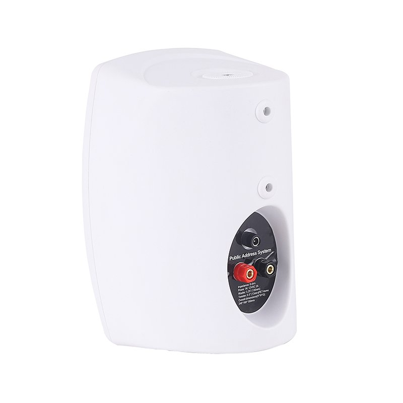 In wall speaker Hot Sale bluetooth Speaker HY-315BT 5 inch wall mount speaker White Black public address system