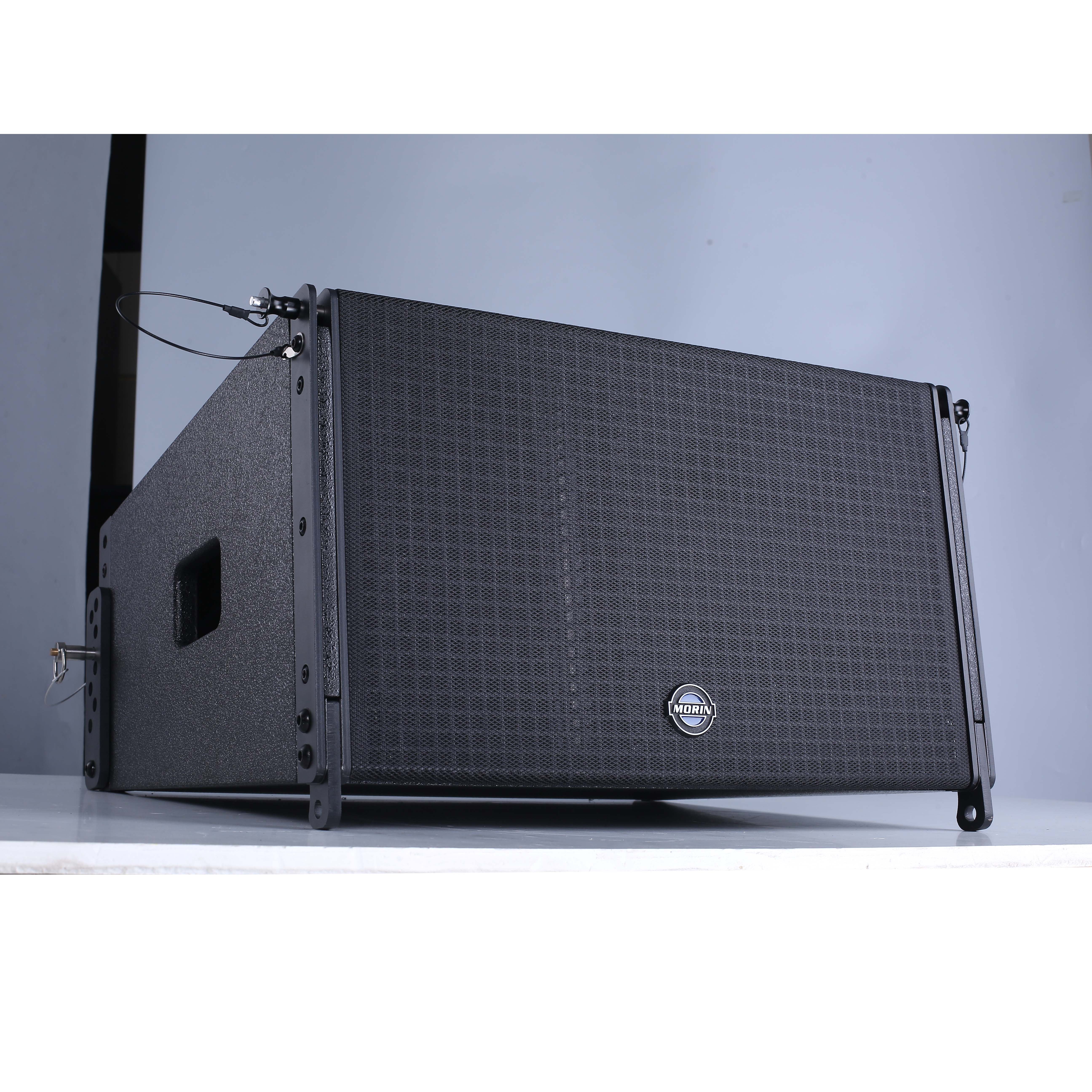 Single 10inch Line Array Tower Speakers Powered DSP Audio Sound System