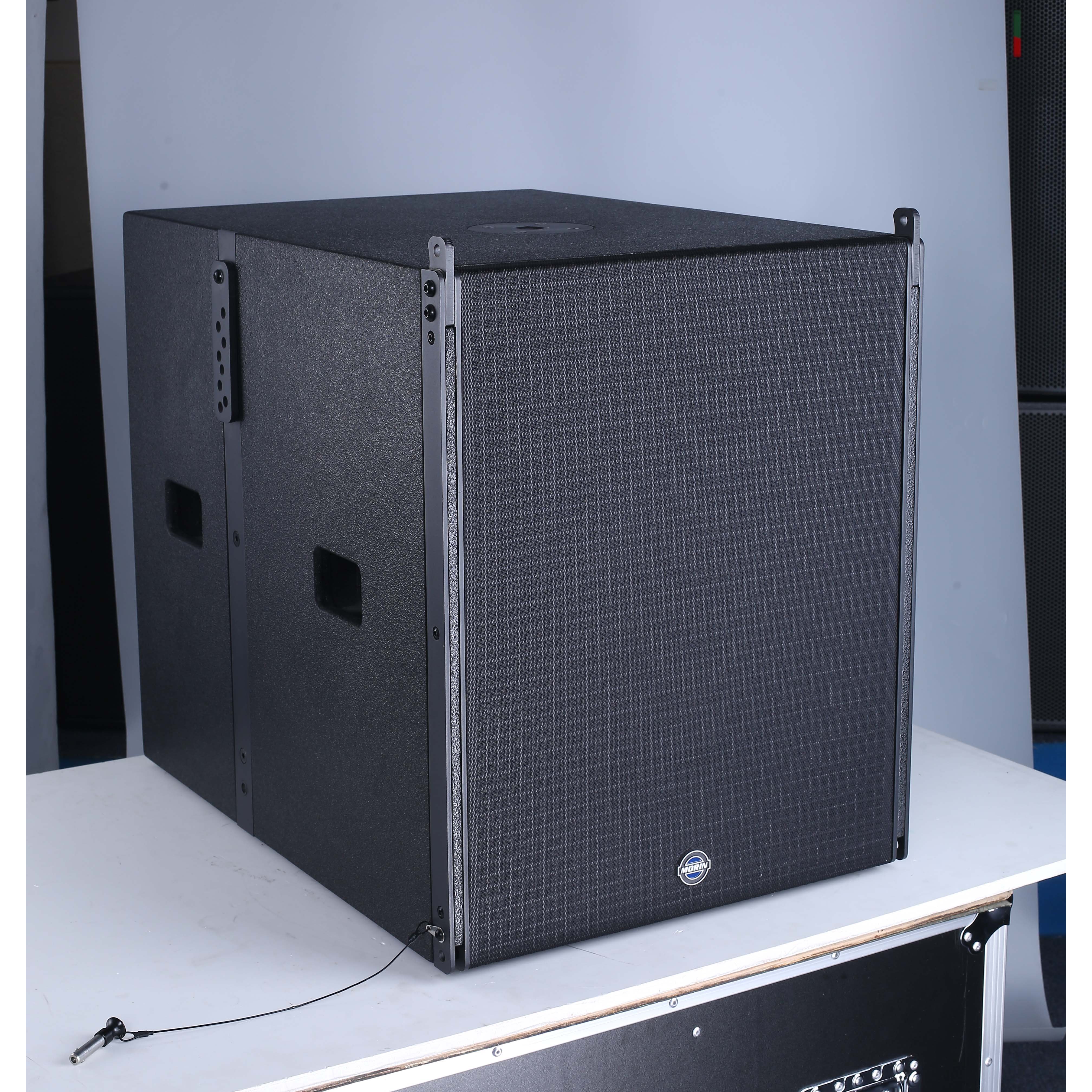 Single 10inch Line Array Tower Speakers Powered DSP Audio Sound System
