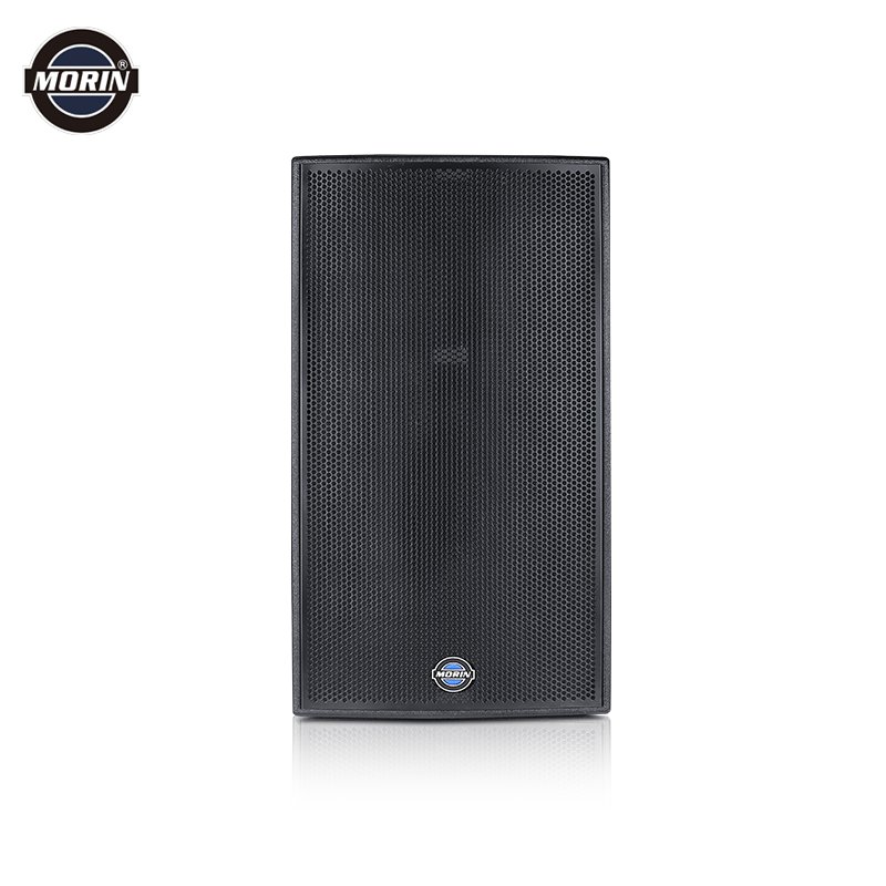 PA Audio 10 Inch Professional Speaker Sound System DJ Speaker Box