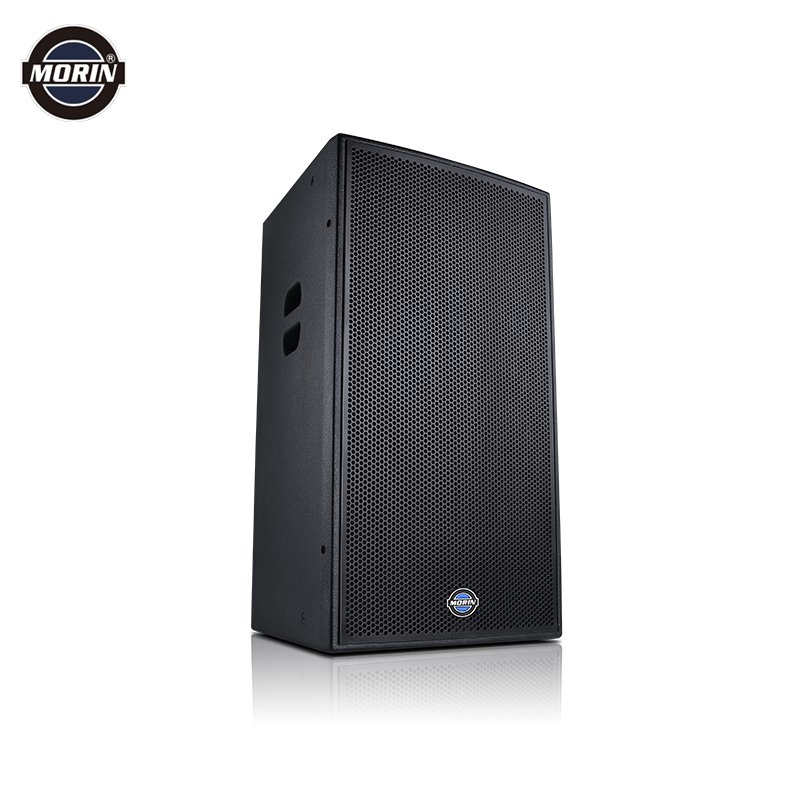 PA Audio 10 Inch Professional Speaker Sound System DJ Speaker Box