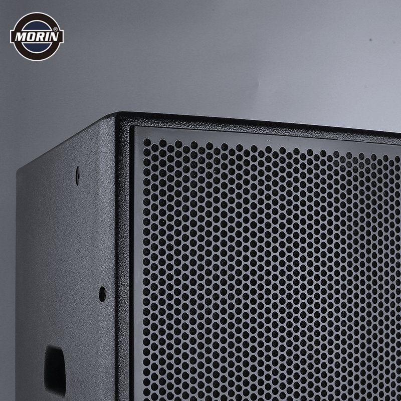 PA Audio 10 Inch Professional Speaker Sound System DJ Speaker Box