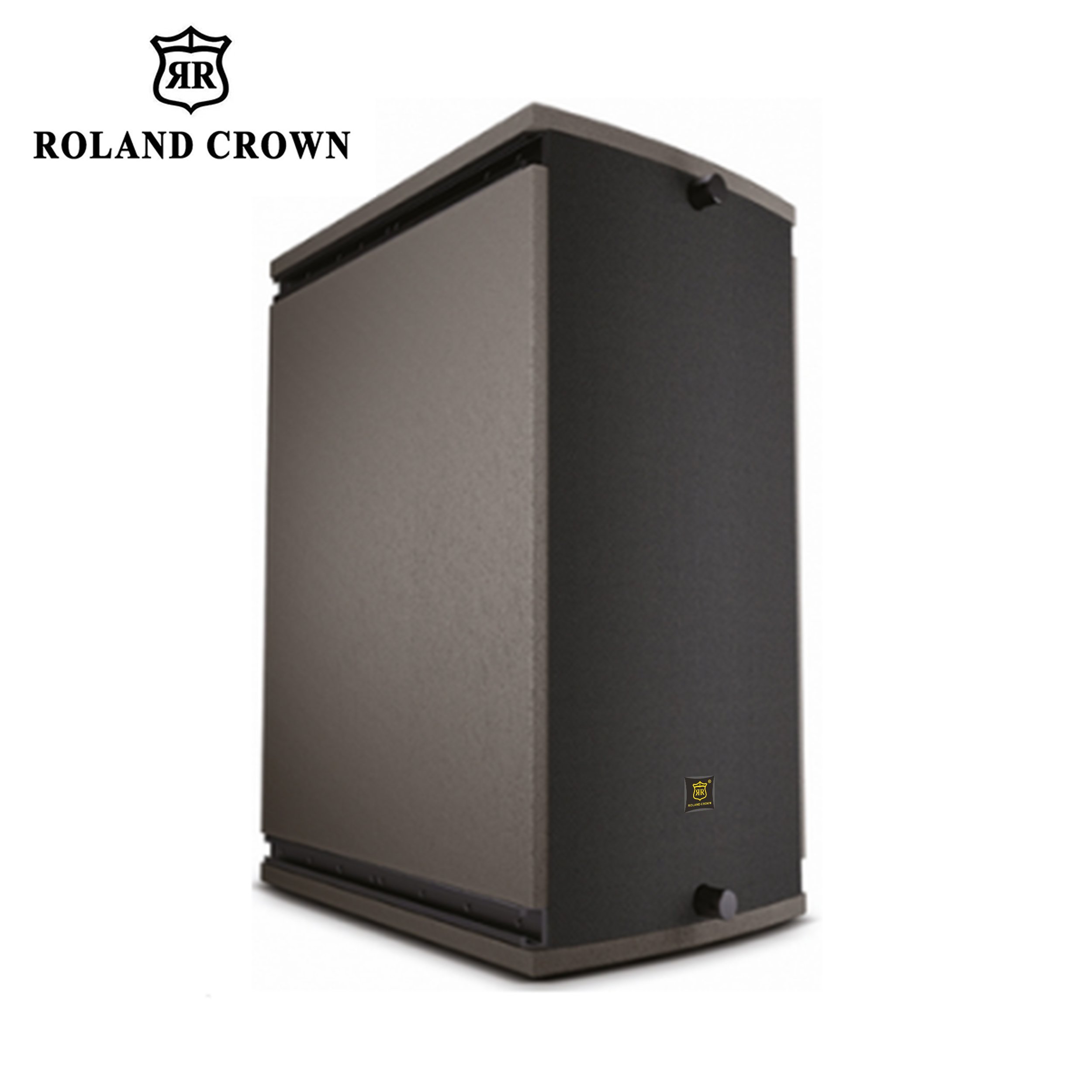 2024 New R-Arc II 15" Professional Speaker Conference Center Low Frequency Full Range Speaker
