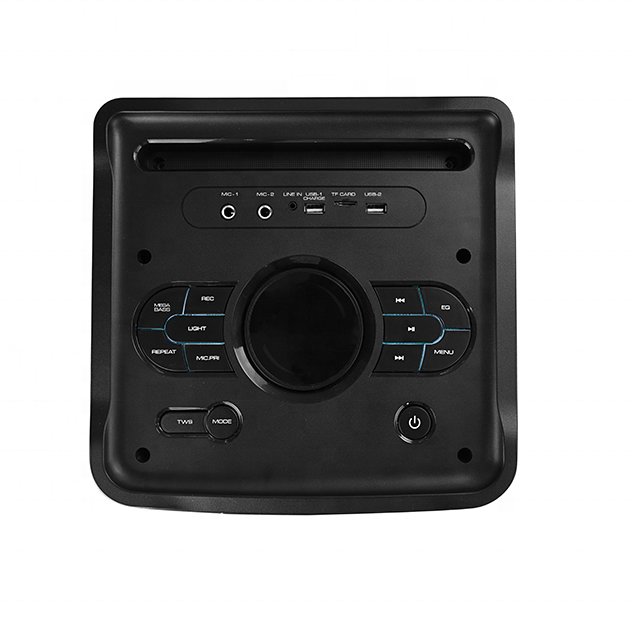 Trending Products sound equipment/amplifiers/speaker Private Double 8 Inch Portable Party Box With Flame Lighting