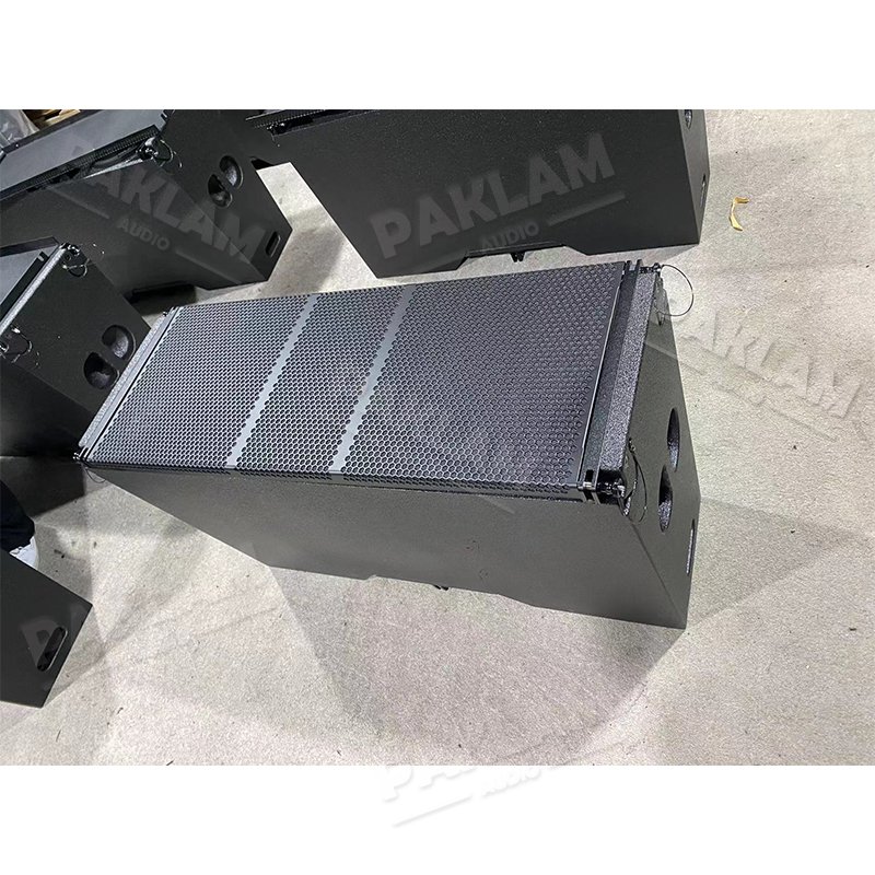 PAKLAM AUDIO Dual 10 Inch Two Way Line Array System Outdoor Concert Sound System Sound Equipment/Amplifiers/Speaker