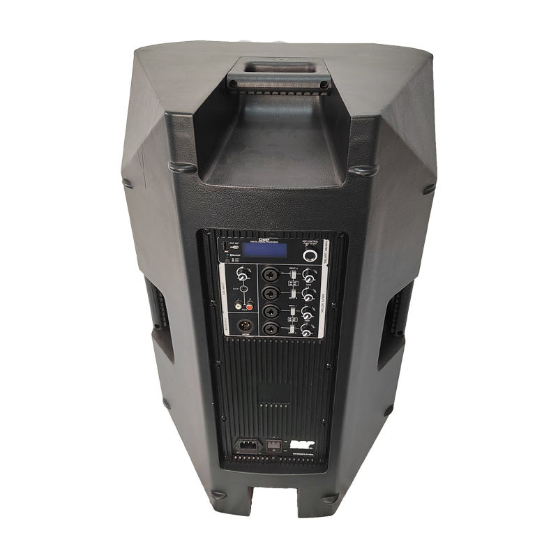 2024 New Arrival Professional Audio Sound Equipment two way full range plastic Active speaker FPC15AD-5CH with DSP and Bluetooth