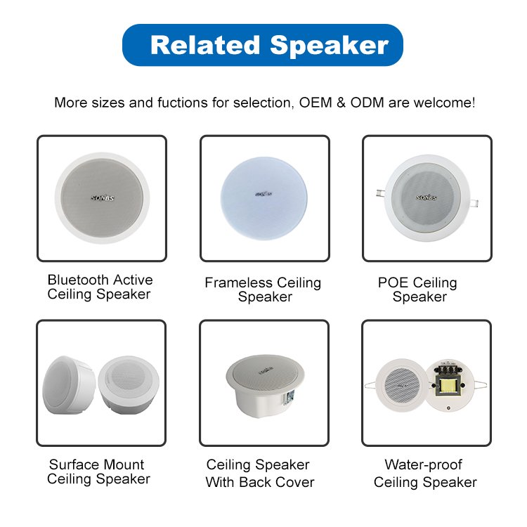 hi end frameless herdio surpass conference audio system ceiling speakers