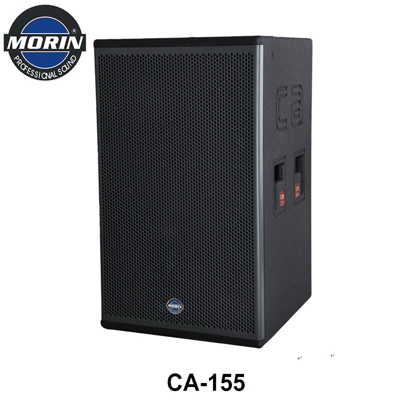 15 inch Professional Speaker