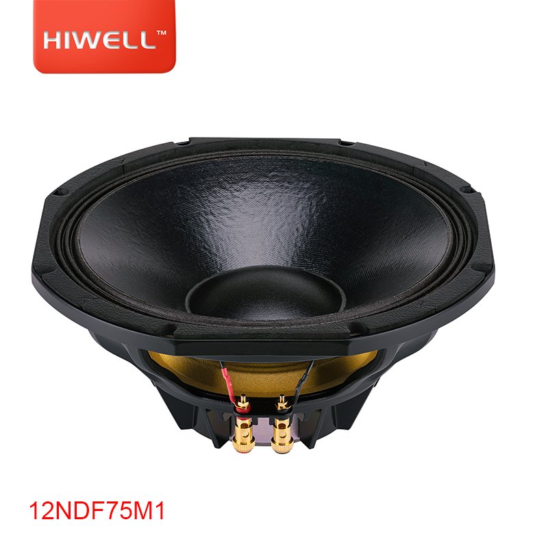 12 inch woofer speaker neodymium loud sound 12NDF75M1