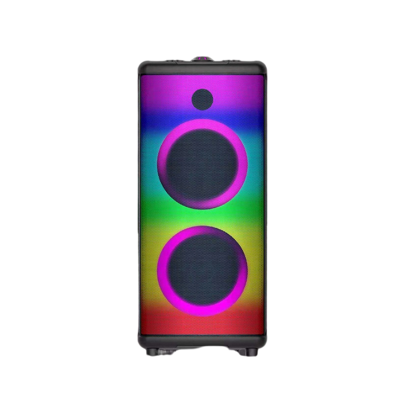 2022 New Arrival Portable Dj Karaoke Audio Speaker Sound Equipment/Amplifiers/Speaker