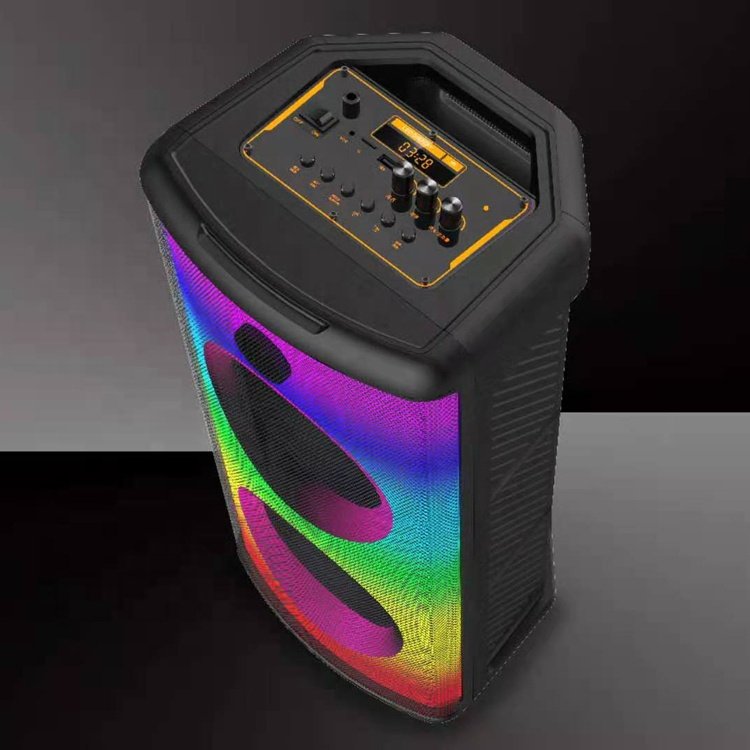 2022 New Arrival Portable Dj Karaoke Audio Speaker Sound Equipment/Amplifiers/Speaker