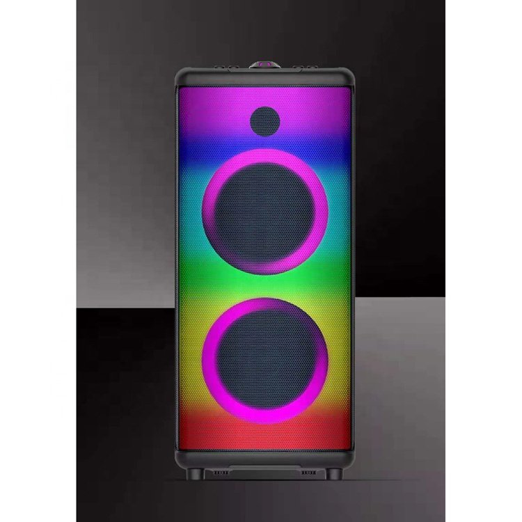 2022 New Arrival Portable Dj Karaoke Audio Speaker Sound Equipment/Amplifiers/Speaker