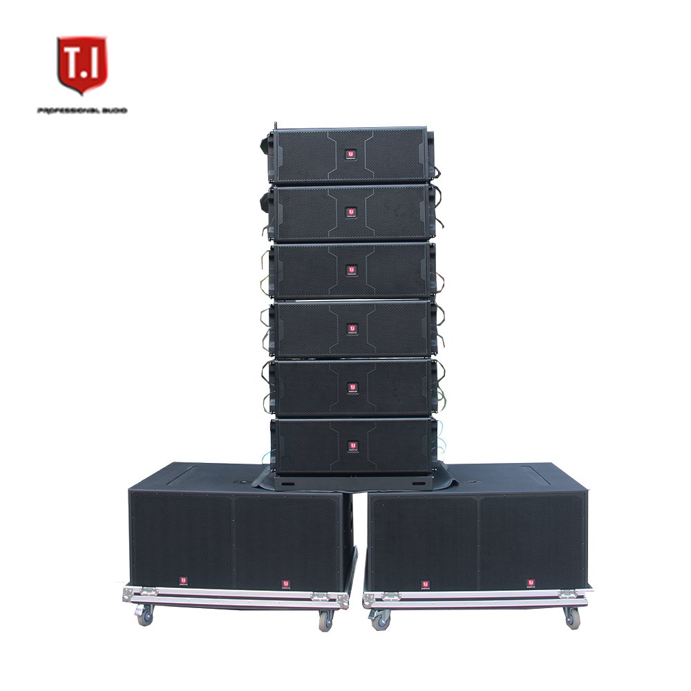 T.I Pro Audio 10" Passive Line Array Loudspeaker System with Powerful Drivers for Profound Sound Equipment