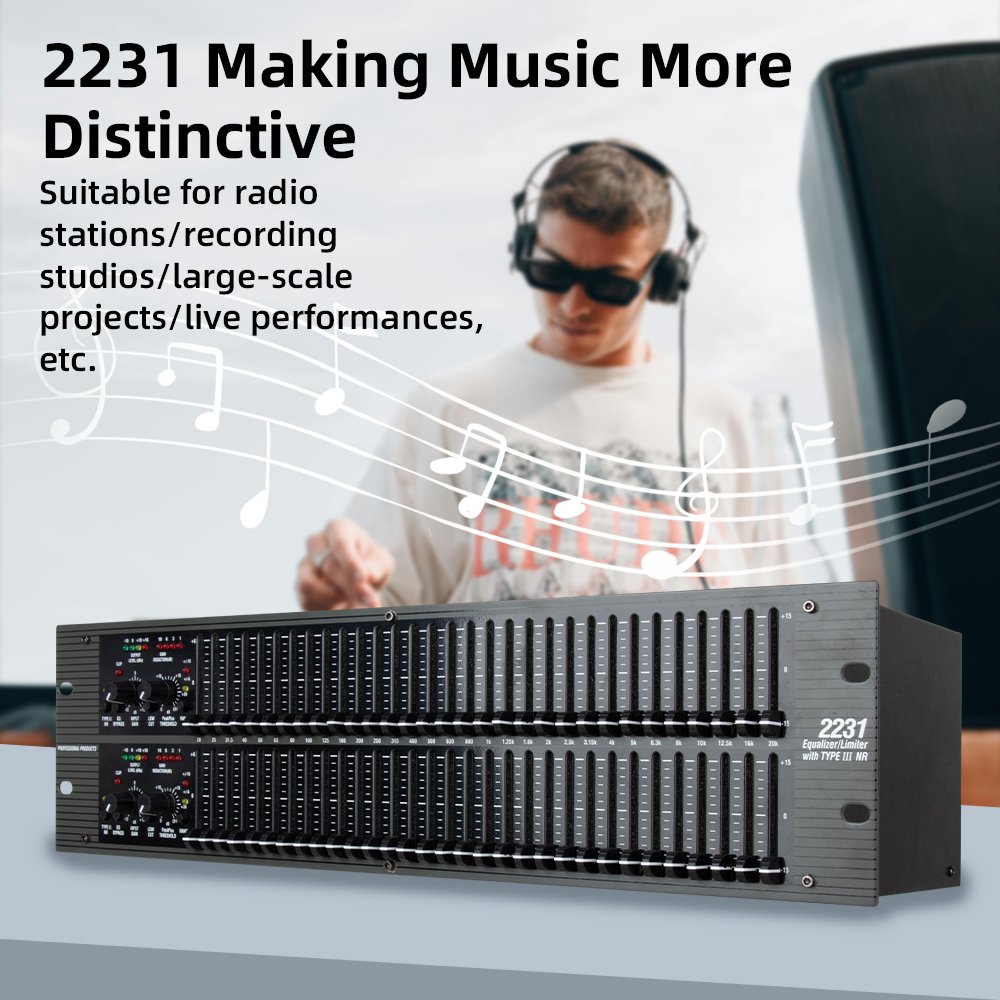 2231 Dual Channel 31 Band DJ Equipment Graphic Equalizer 2231 Audio Equalizer for Karaoke Show Sound Equipment Amplifier Speaker