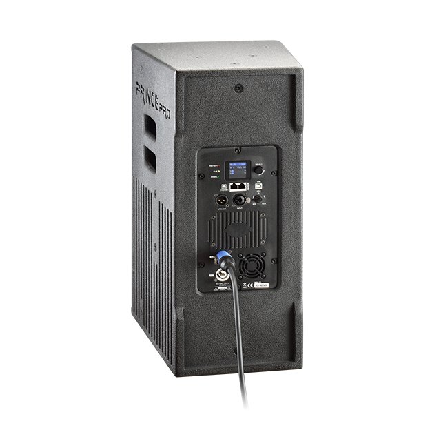 12inch active speaker professional speaker audio equipment high quality speaker DSP with Dante