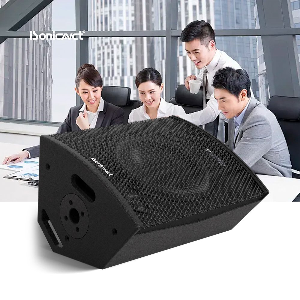 iSonicavct PH122 12 Inch Waterproof Wall-mounted Audio Conferencing Equipment Wired Bluetooth Multi-functional Subwoofer Speaker