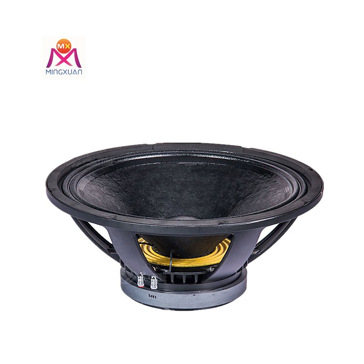 Professional double 18 inch active heavy bass surround sound speaker