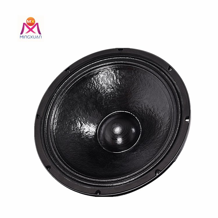 Professional double 18 inch active heavy bass surround sound speaker