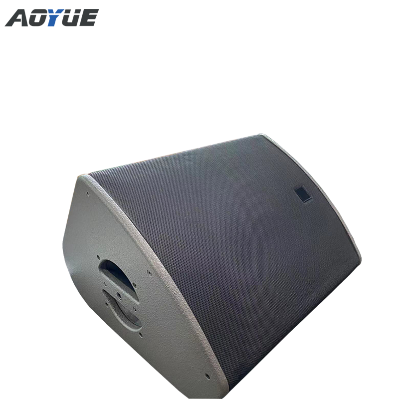 Aoyue 12X stage speaker 12 inch coaxial monitor