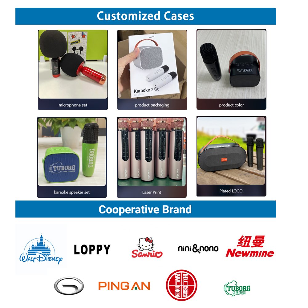 Audio sound equipment wireless for karaoke cornetas portable audio player pa system Equipment