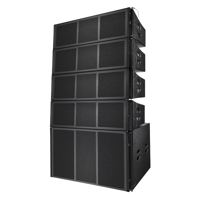 Professional audio dual 10-inch line array system showcasing audio equipment