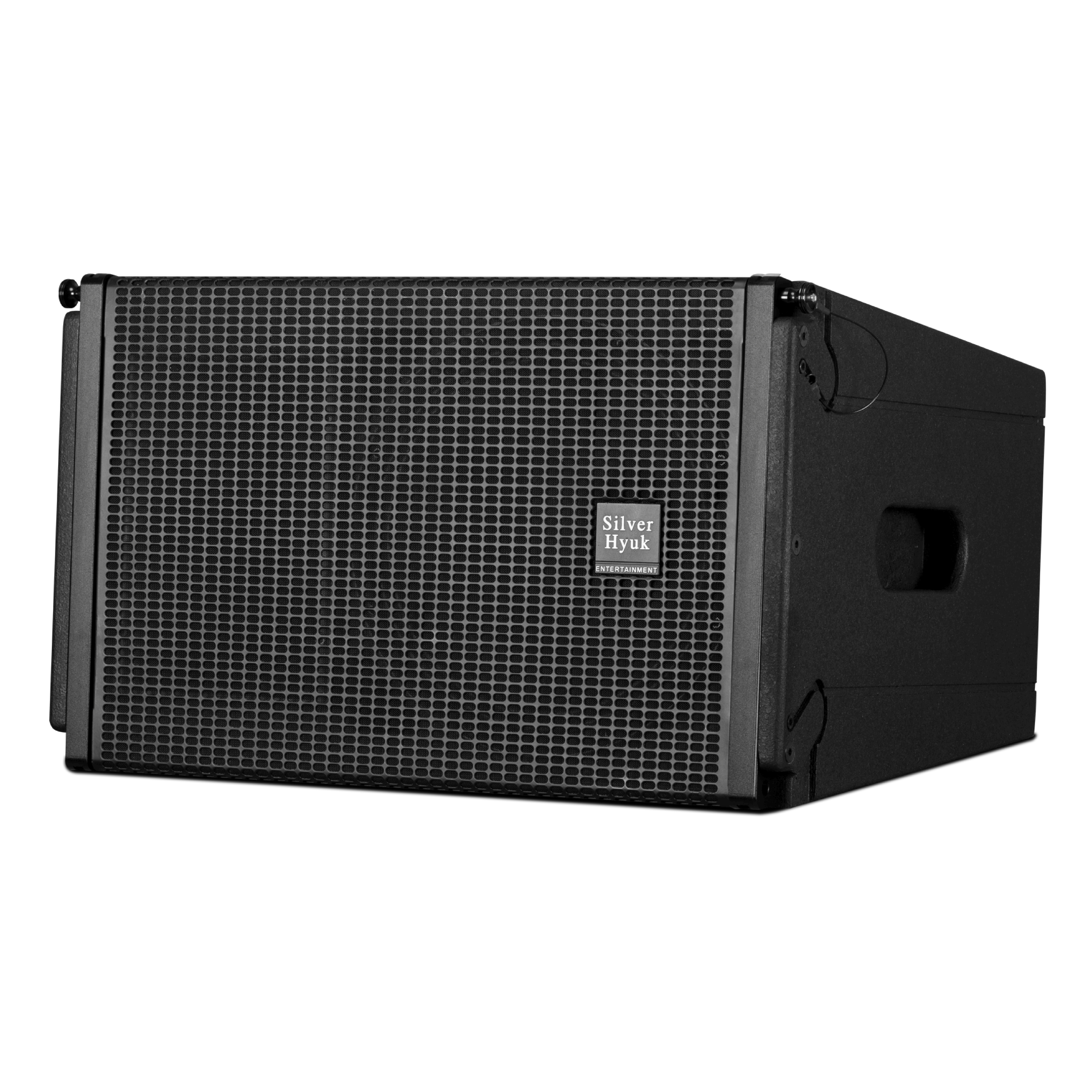 Accuracy Pro Audio 12-Inch Two-Way 450W Line Array Speakers Professional Sound System Passive Line Array Speaker System