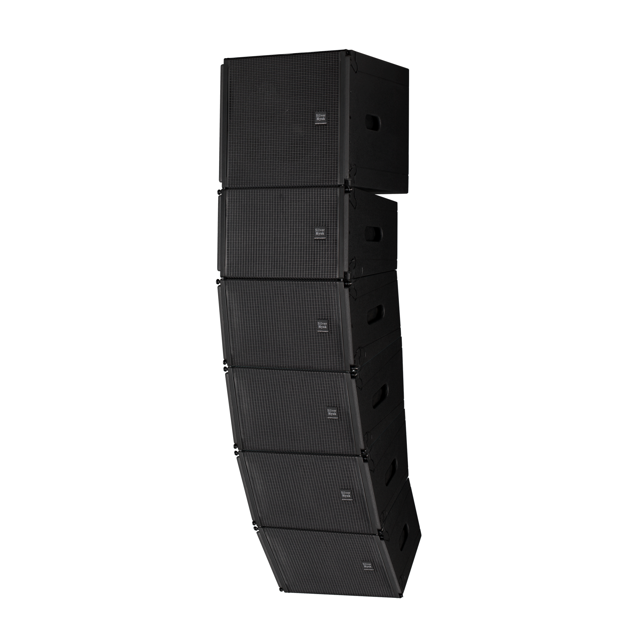 Accuracy Pro Audio 12-Inch Two-Way 450W Line Array Speakers Professional Sound System Passive Line Array Speaker System