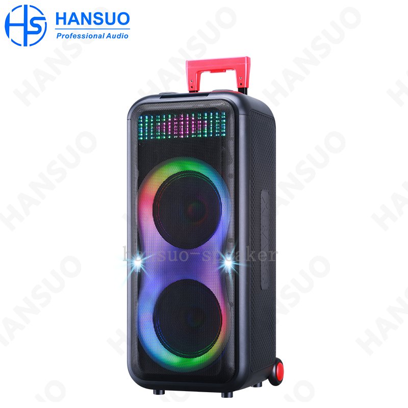 Low price speaker dual 08 inch woofer 60 W high power Alto-falante trolley power amplifier professional wifi