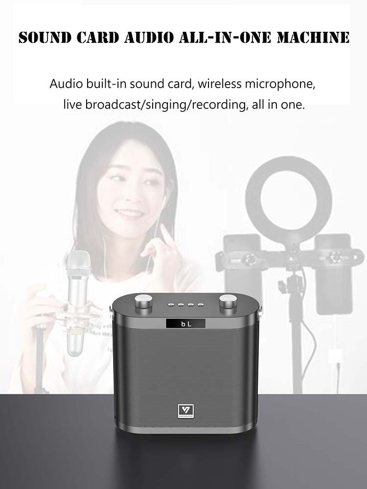 SHENGYOU 120W 4-inch woofer equipment amplifiers speaker karaoke sound master with mic
