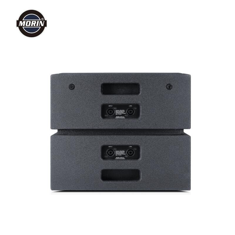 Professional Audio Sound Equipment Line Array Speaker Sound System